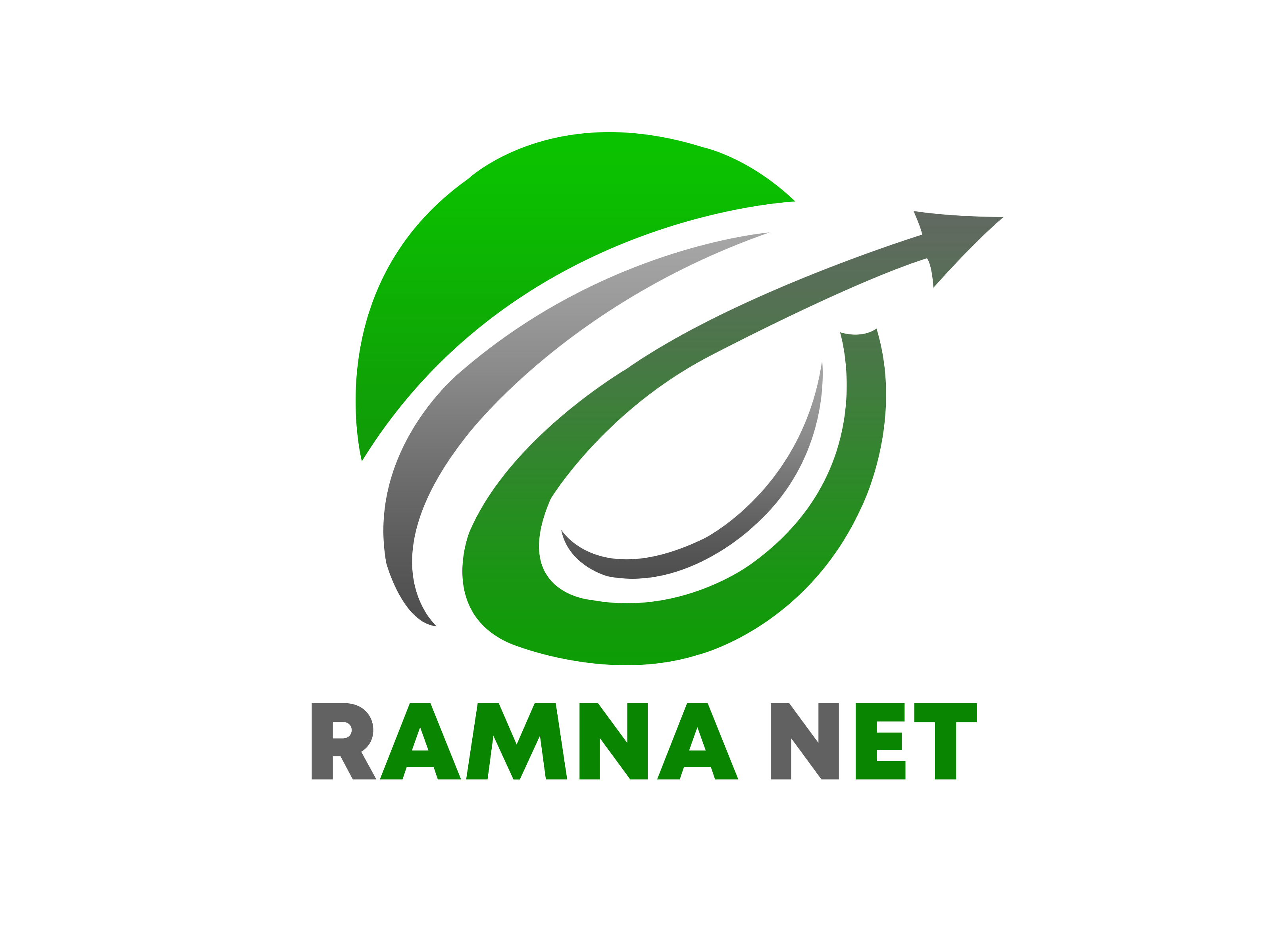RAMNA NET-logo